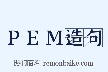 PEM造句是什么意思的图片